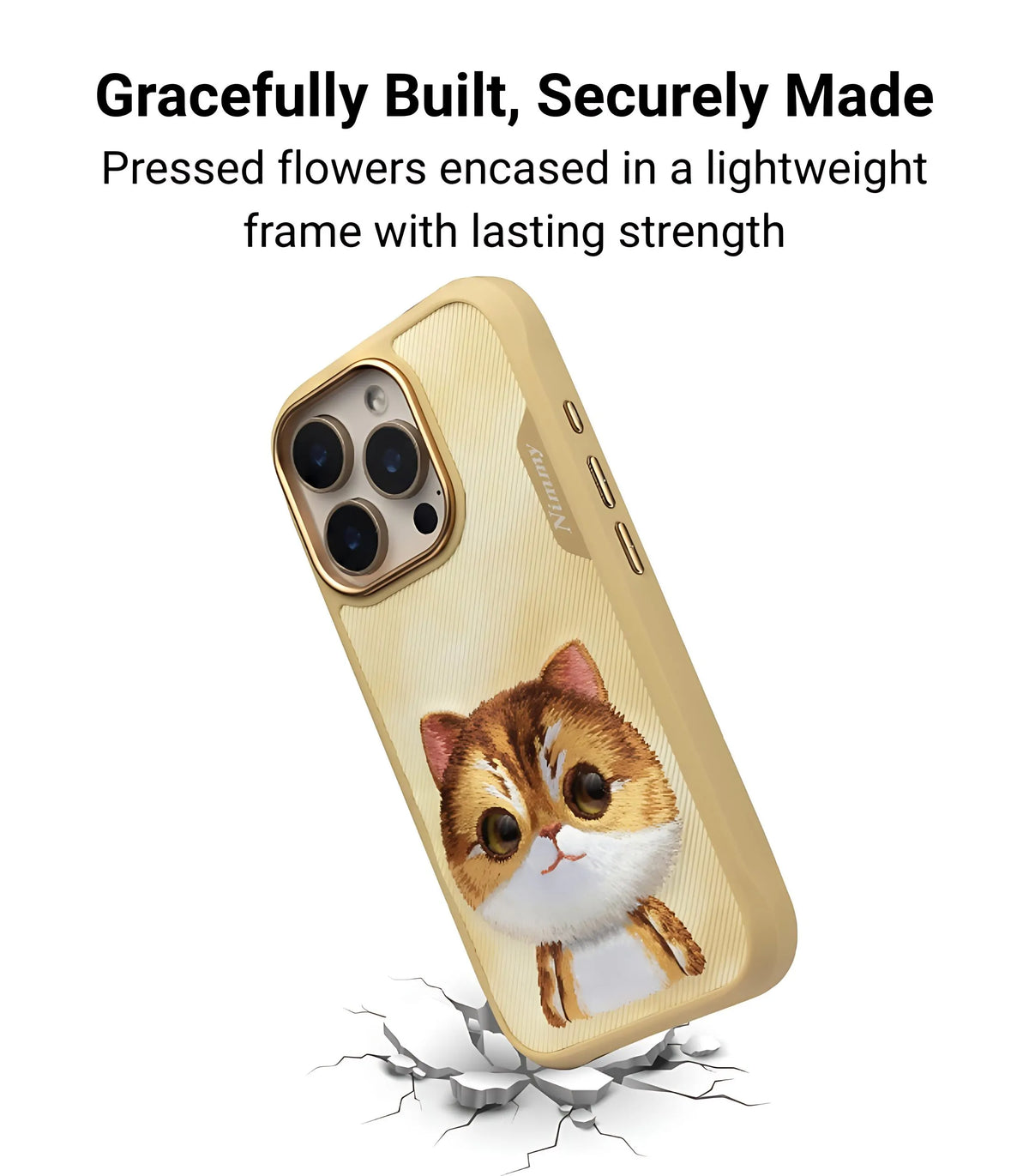 Golden British Shorthair